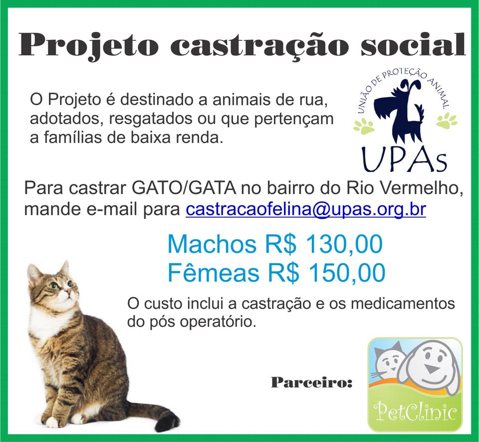 Feira e evento de adoção de cachorros e gatos - Amor e Responsabilidade na Grande Feira de Adoção em Salvador! em Bahia - Salvador