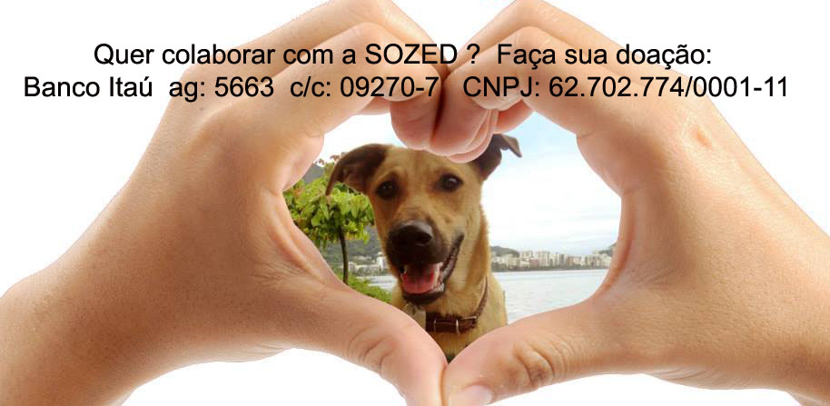 Feira e evento de adoção de cachorros e gatos - Encontro de Corações: Feira de Adoção Animal no Rio de Janeiro em Rio de Janeiro - Rio de Janeiro