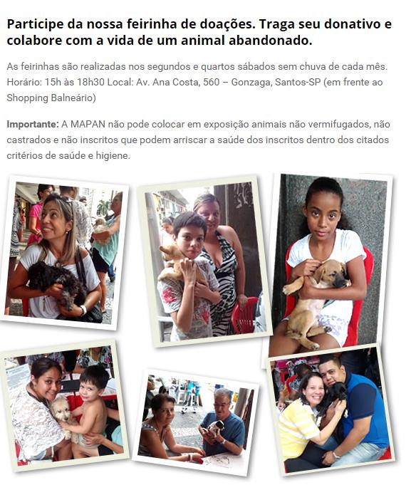 Feira e evento de adoção de cachorros e gatos - Amor aos Patudos: Grande Evento de Adoção Animal em Santos! em São Paulo - Santos