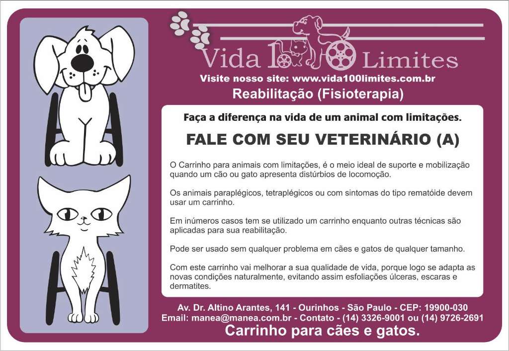 Feira e evento de adoção de cachorros e gatos - Evento Solidário de Adoção em Ourinhos: Dê um Lar e Amor aos Animais! em São Paulo - Ourinhos