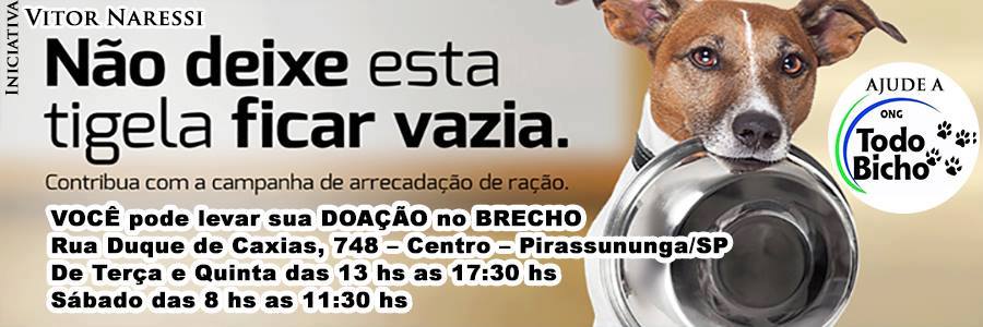 Feira e evento de adoção de cachorros e gatos - Feira de Adoção em Pirassununga: Encontre seu Novo Melhor Amigo! em São Paulo - Pirassununga