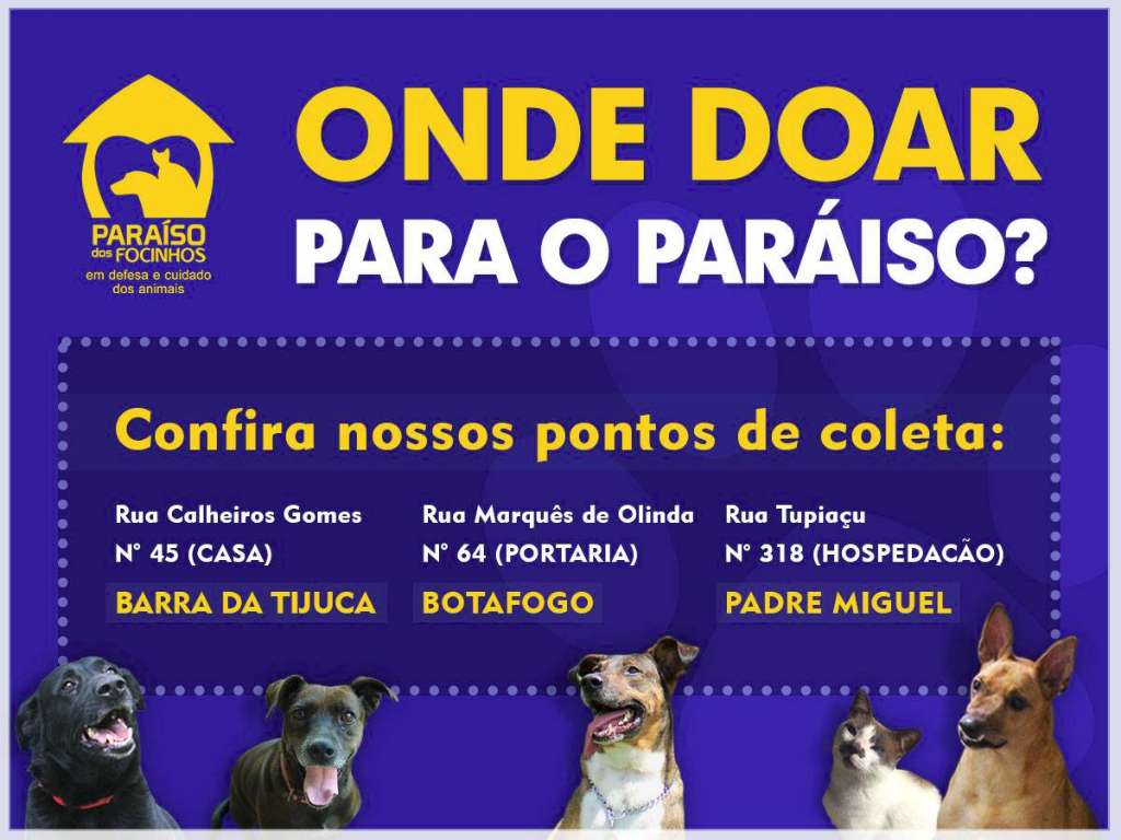 Feira e evento de adoção de cachorros e gatos - Encontre seu novo amigo no evento de adoção de animais do RJ em Rio de Janeiro - Rio de Janeiro