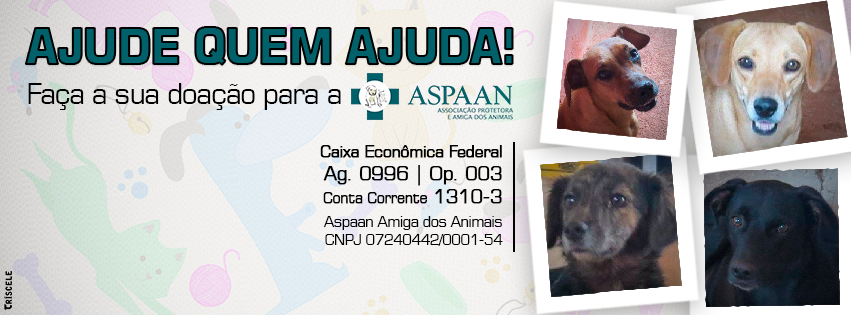 Feira e evento de adoção de cachorros e gatos - Amor aos Quatro Patas - Feira de Adoção Anápolis em Goiás - Anápolis