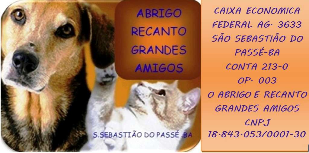 Feira e evento de adoção de cachorros e gatos - Feira de Adoção Recanto Grandes Amigos: Encontre seu Novo Melhor Amigo! em Bahia - São Sebastião do Passé