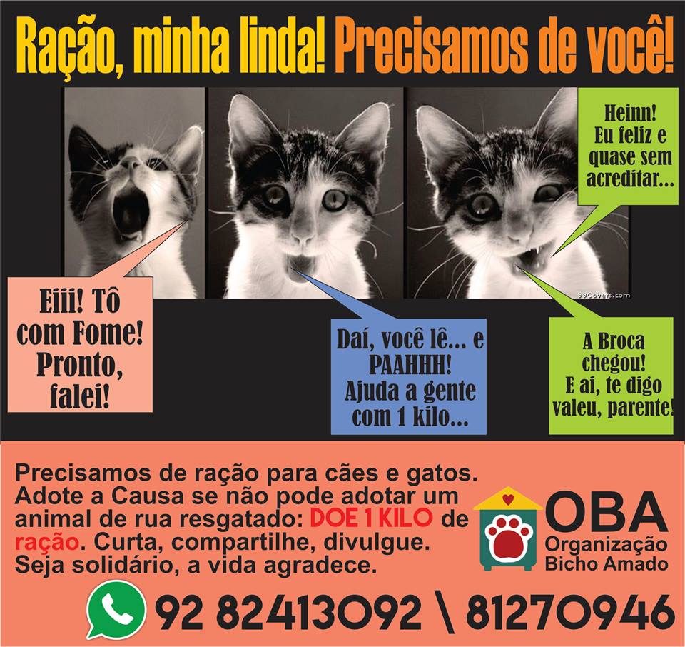 Feira e evento de adoção de cachorros e gatos - Feira de Adoção Amor Animal em Manaus - Adote um amigo! em Amazonas - Manaus