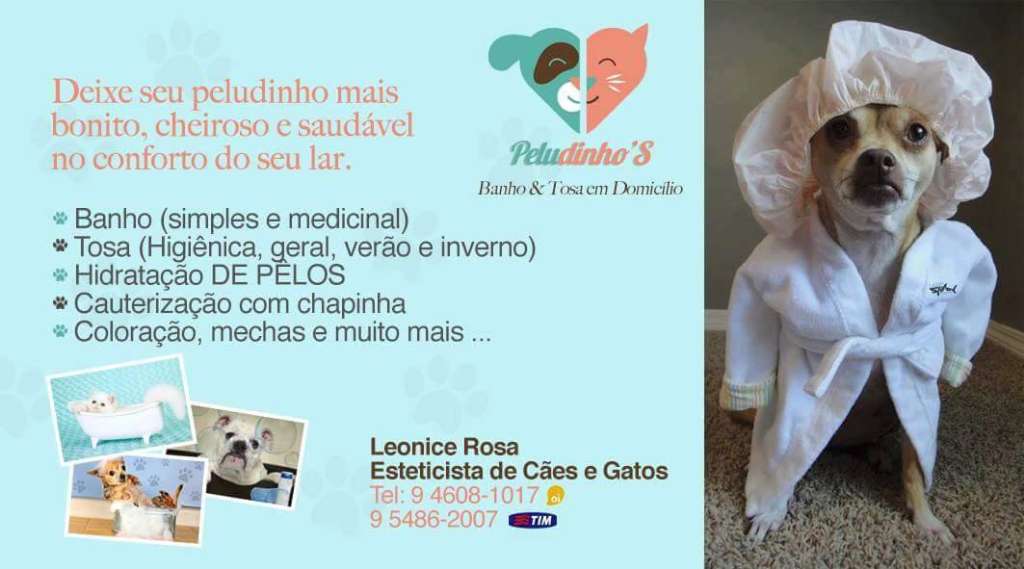 Feira e evento de adoção de cachorros e gatos - Feira de Adoção de Animais em SP: Encontre seu Novo Amigo! em São Paulo - São Paulo