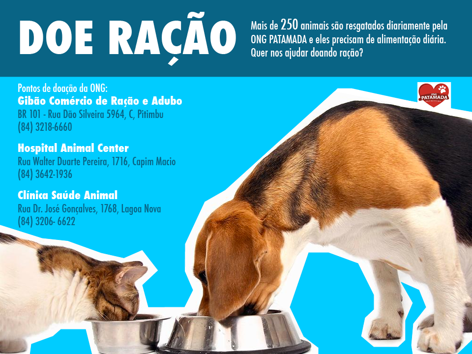 Feira e evento de adoção de cachorros e gatos em Natal - Rio Grande do Norte