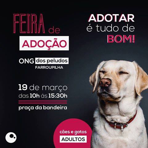Feira e evento de adoção de cachorros e gatos em Farroupilha - Rio Grande do Sul