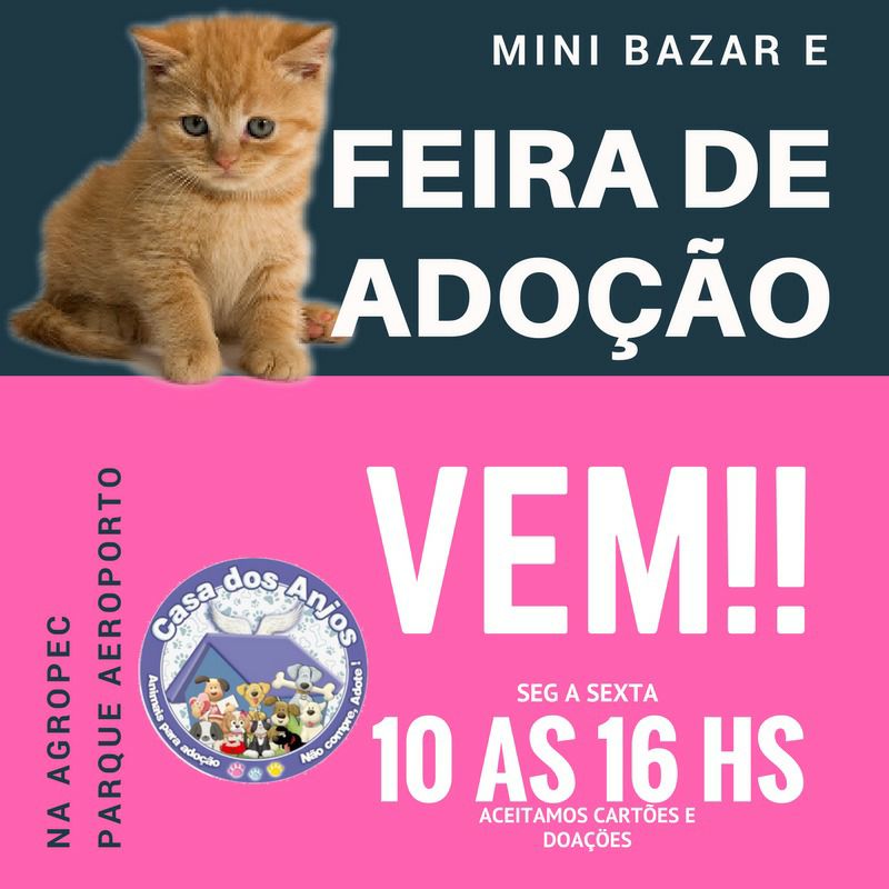 Feira e evento de adoção de cachorros e gatos - Mini Bazar e Feira de Adoção em Macaé - Um lar para amor sem medida! em Rio de Janeiro - Macaé