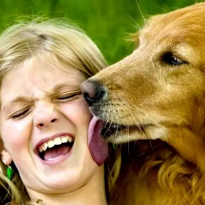 A felicidade do cão em reencontrar o dono