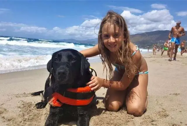Cachorro salva menina de 8 anos que se afogava em praia.