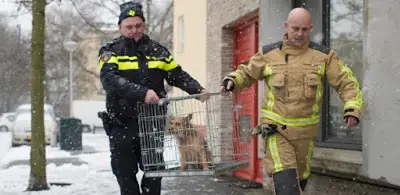 Existe uma polícia especial na Holanda para defender animais em risco.
