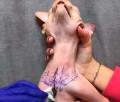 Crueldade: modelo é denunciada após tatuar gato
