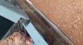 Pit bull é agredido com golpes de podão na cabeça em Batatais, SP.