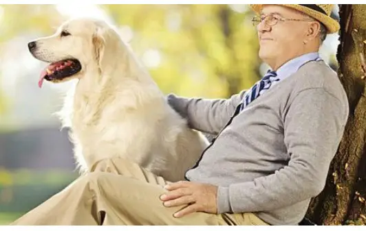 Animais de estimação podem ajudar pessoas idosas ficarem mais felizes e saudáveis.