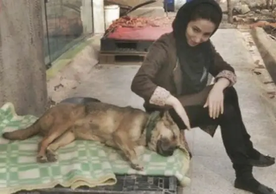 Sem ajuda do governo ela salva cães abandonados e feridos nas ruas do Teerã.