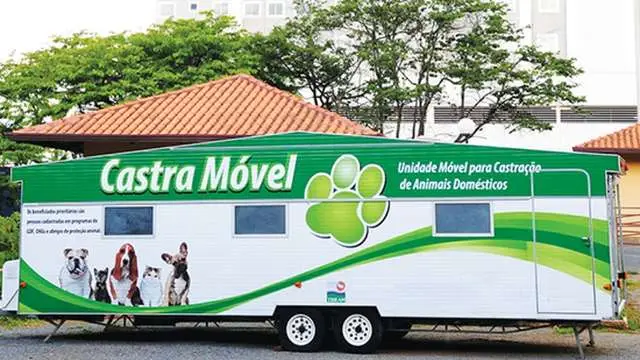 Rio vai contar com unidade móvel para castração de animais de rua.