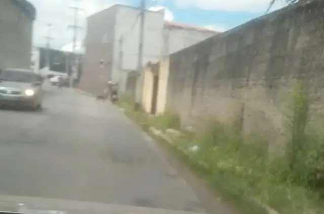 Homem vê moto arrastando cachorro pelas ruas de Fortaleza e salva animal.