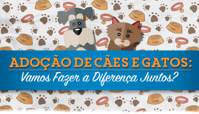 Doação de Cães e Gatos: A Verdade que Nunca Te Contaram sobre Animais Abandonados no Brasil