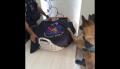 Cachorra do BOPE de Curitiba emociona a internet ao se despedir de colega canino falecido.