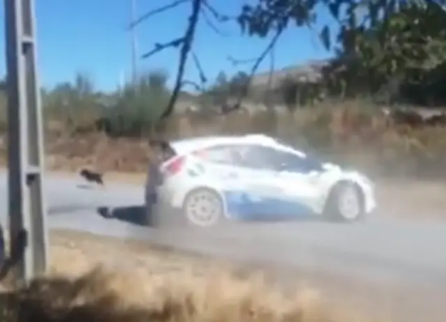 Piloto português abdica da vitória em rali para não atropelar cão.