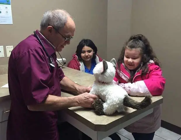 Veterinário atende gato de pelúcia "doente" de menina autista.
