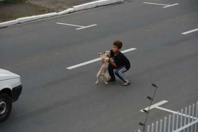 Criança socorre cachorro atropelado no meio da rua.