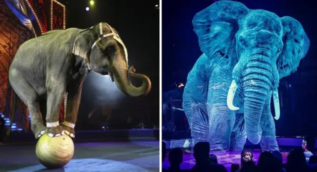 Circo alemão que se recusa a usar animais, cria lindos hologramas para admirá-los.