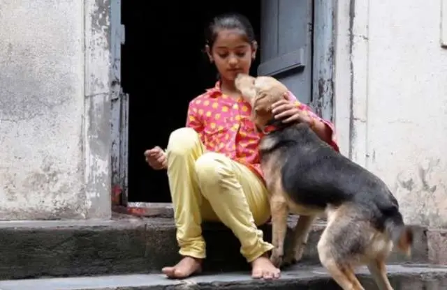 Índia institui ‘Compaixão pelos Animais’ como matéria escolar em milhares de colégios públicos e privados.