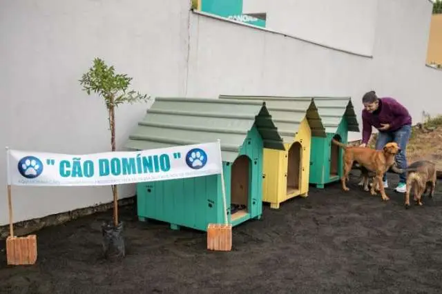 "Cão domínio" para animais comunitários é inaugurado em Canoas