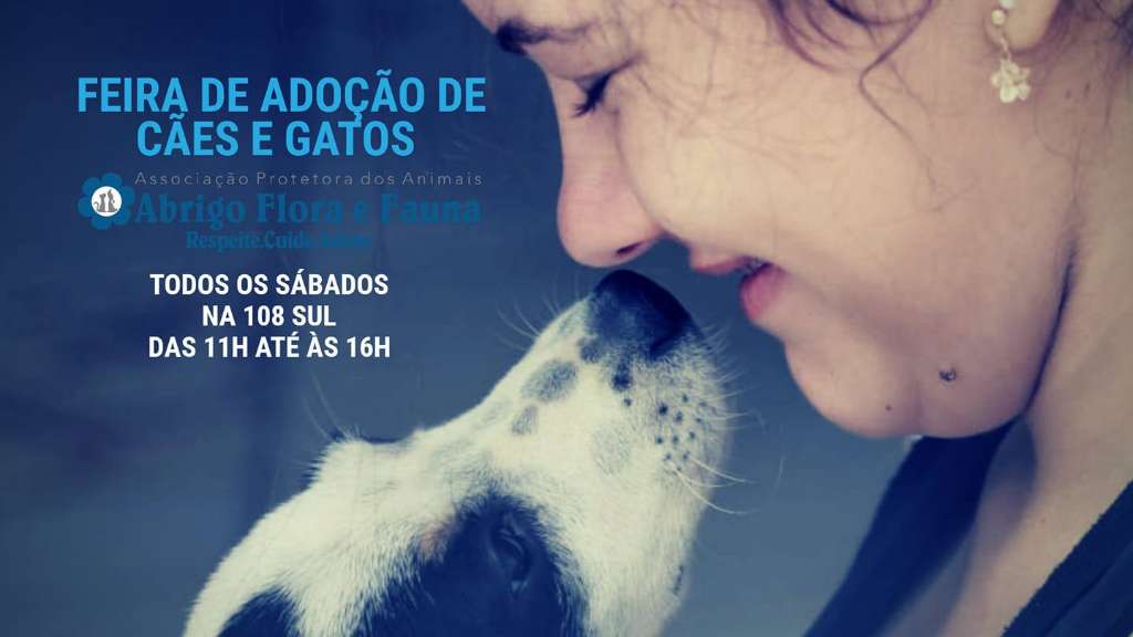 Feira e evento de adoção de cachorros e gatos em Brasília - Distrito Federal