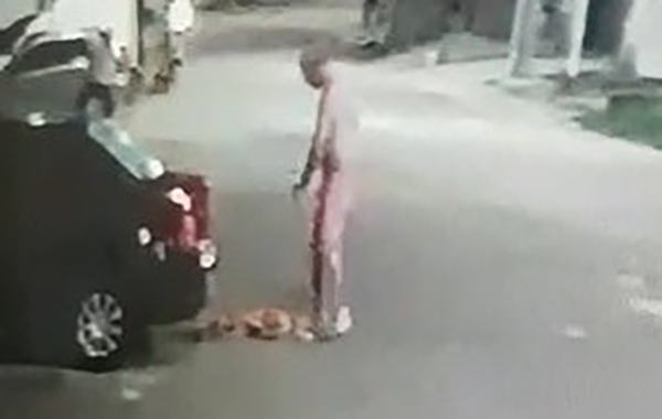 Vídeo: por causa de xixi, homem espanca cachorro em Belém (PA) e é preso.