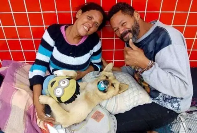 Cachorro de moradores de rua viraliza ao dormir de chupeta