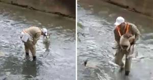 Cachorro é salvo por guarda municipal dentro do Rio Maracanã, no RJ