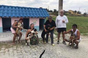 Moradores criam “cãodomínio” para cachorros de rua