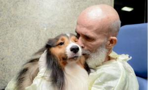 Médico se surpreende com melhora de paciente com câncer que recebeu visita de cachorro