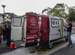 Curitiba ganha ambulância para resgatar cachorros e gatos em risco nas ruas