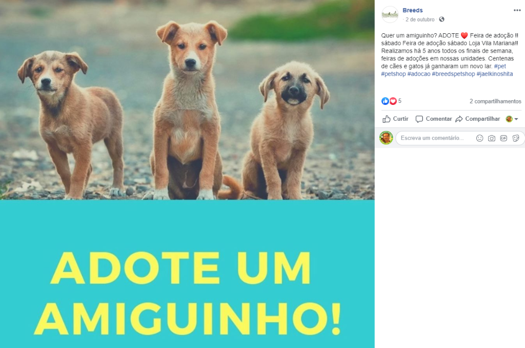 Feira e evento de adoção de cachorros e gatos - ADOTE UM AMIGUINHO: Encontre o Seu Novo Companheiro em SP! em São Paulo - São Paulo