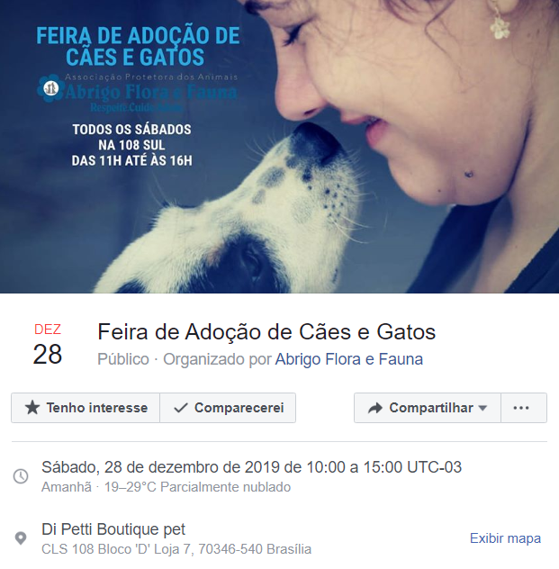Feira e evento de adoção de cachorros e gatos em Brasília - Distrito Federal