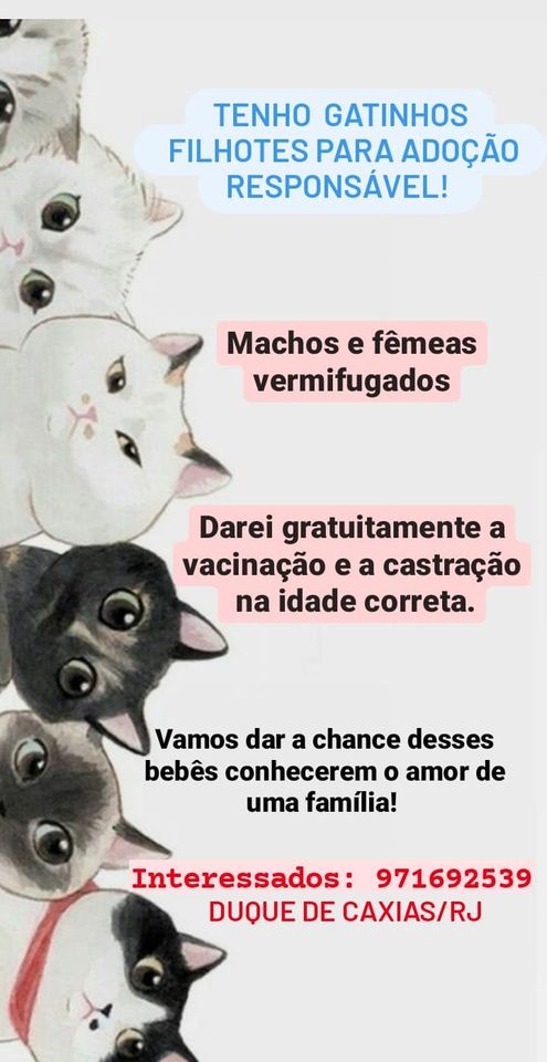 Eventos de adoção de cachorros e gatos -  em RJ - Rio de Janeiro