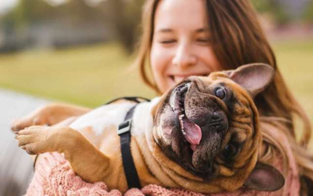 Nomes de cachorro: confira algumas inspirações para batizar o seu pet