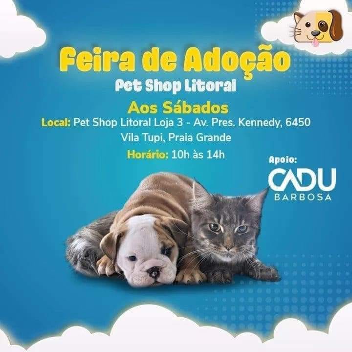Feira e evento de adoção de cachorros e gatos em Praia Grande - São Paulo