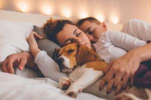 Estudo conclui que dormir com o cachorro no quarto pode ser bom para a saúde