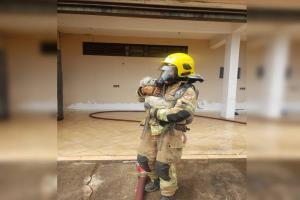 Cachorro é salvo de incêndio por militares dos bombeiros do DF e de Goiás