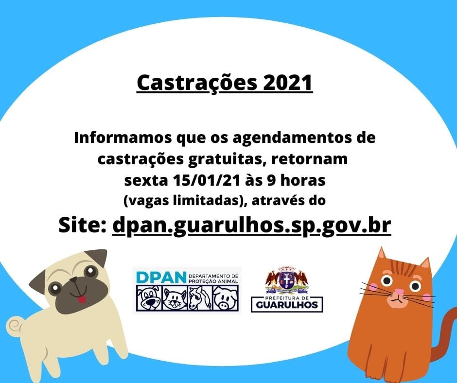 Feira e evento de adoção de cachorros e gatos -  em São Paulo - Guarulhos