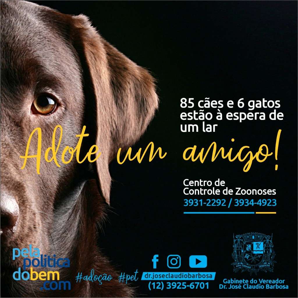Feira e evento de adoção de cachorros e gatos em São José - Santa Catarina