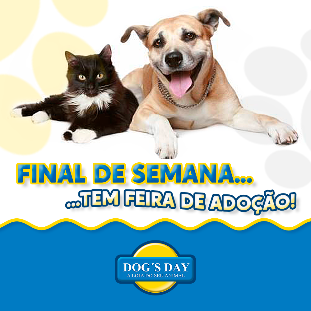 Feira e evento de adoção de cachorros e gatos em Cotia - São Paulo