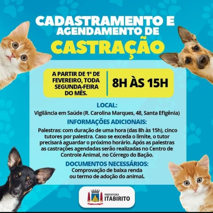 Feira e evento de adoção de cachorros e gatos -  em Minas Gerais - Itabirito