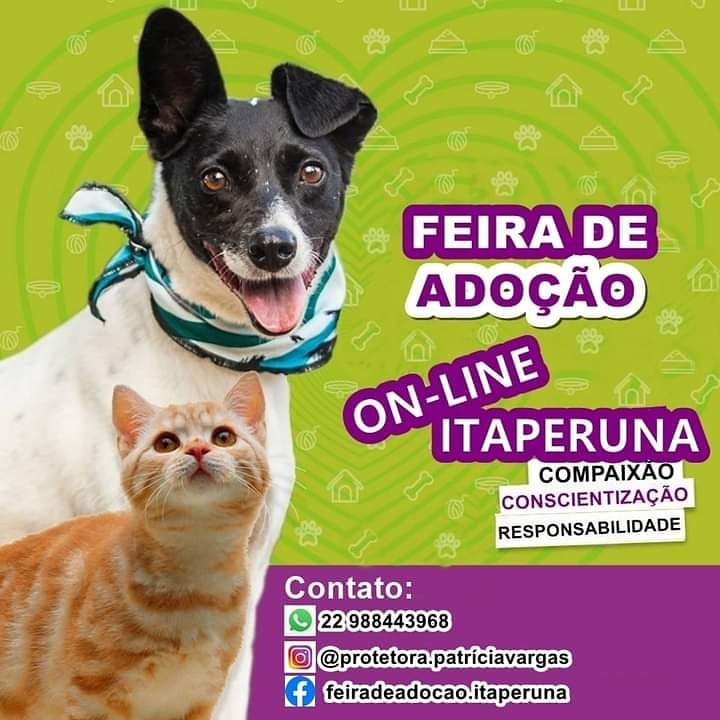 Feira e evento de adoção de cachorros e gatos em Itaperuna - Rio de Janeiro