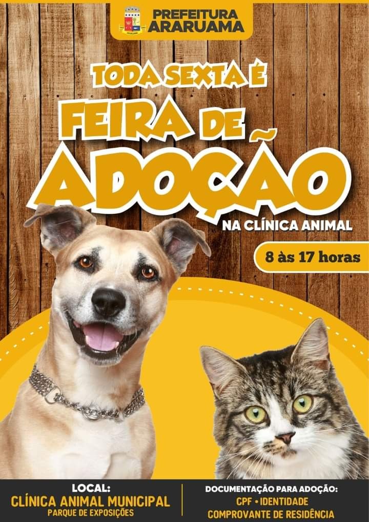 Feira e evento de adoção de cachorros e gatos - Feira de Adoção em Araruama: Encontre seu Novo Melhor Amigo! em Rio de Janeiro - Araruama